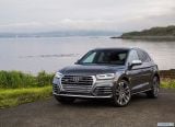 audi_2018_sq5_3_0_tfsi_013.jpg