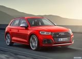 audi_2018_sq5_3_0_tfsi_019.jpg