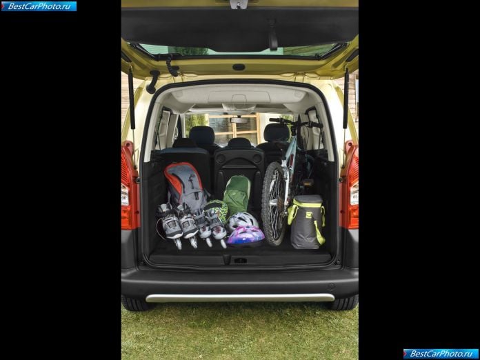 2009 Citroen Berlingo Multispace - фотография 40 из 60