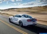 ford_2016_mustang_shelby_gt350_015.jpg
