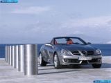 mercedes-benz_2008-slk-class_1600x1200_002.jpg