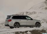 mercedes-benz_2017_gls_092.jpg