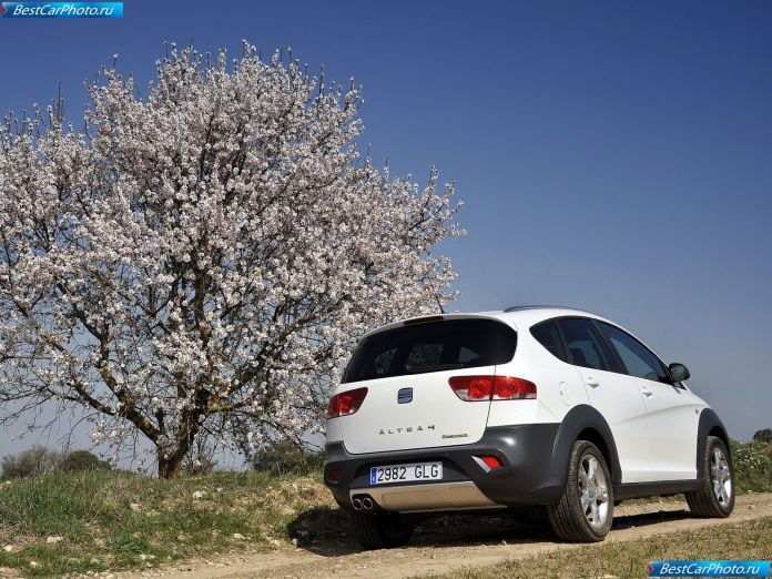 2009 Seat Altea Freetrack - фотография 17 из 30