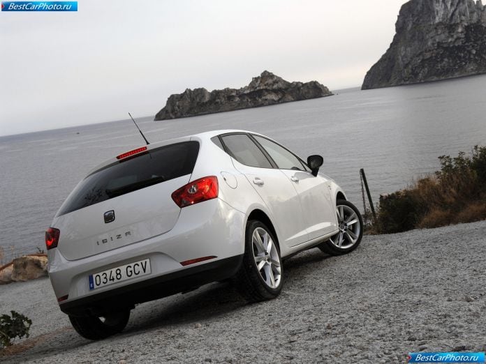 2009 Seat Ibiza - фотография 154 из 220