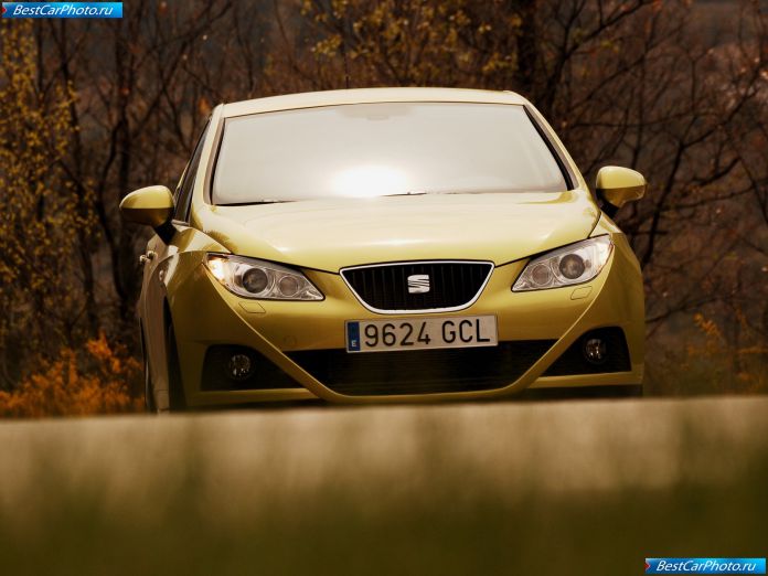 2009 Seat Ibiza - фотография 173 из 220