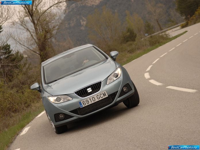 2009 Seat Ibiza - фотография 174 из 220