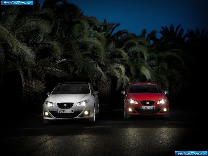 2010 Seat Ibiza Fr Tdi - фотография 25 из 30