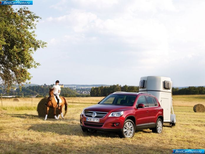 2008 Volkswagen Tiguan - фотография 37 из 161