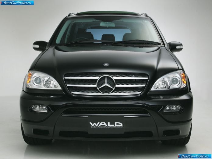 2003 Wald Mercedes-benz M-class - фотография 18 из 21